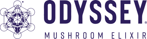 Odyssey